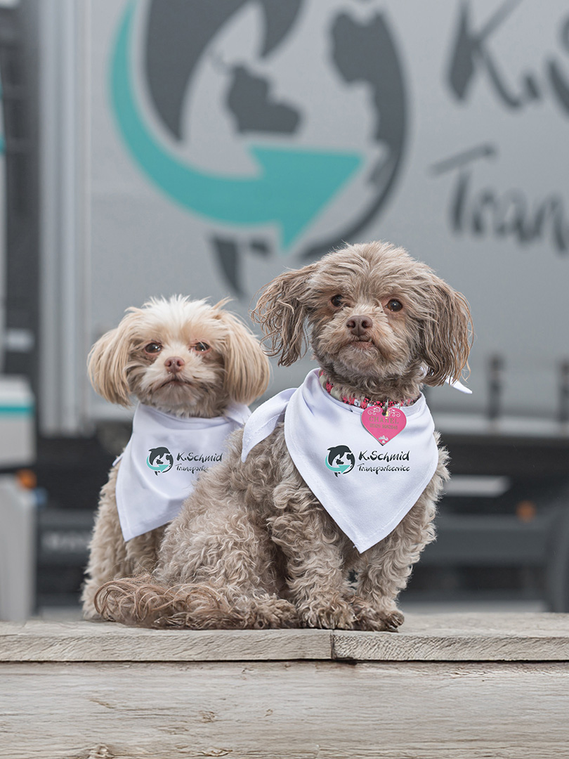 k schmid transportservice impressionen 02