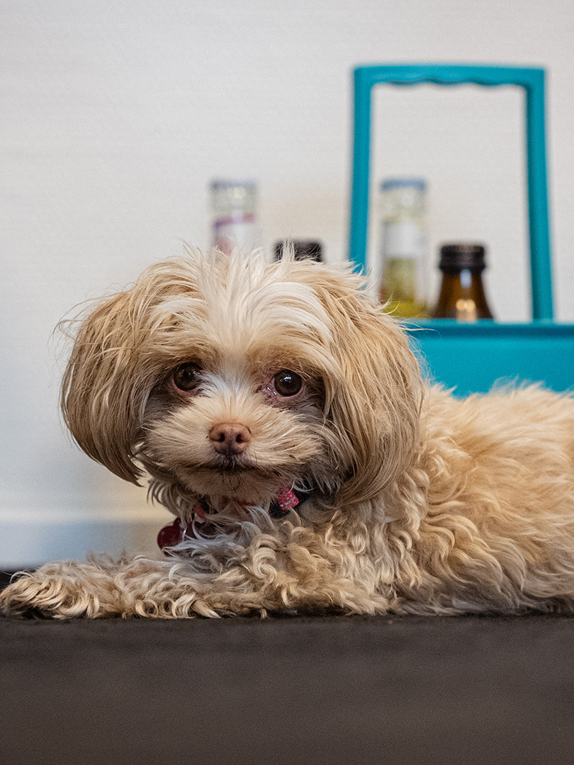 k schmid transportservice impressionen 07