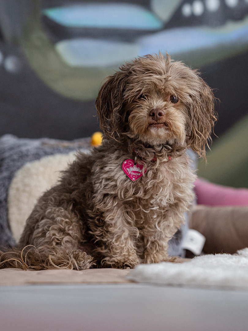 k schmid transportservice impressionen 08